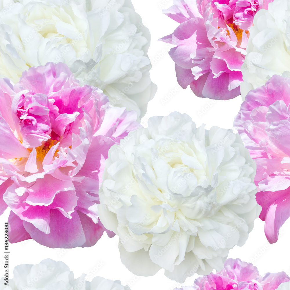 seamless pattern pale pink and white peonies