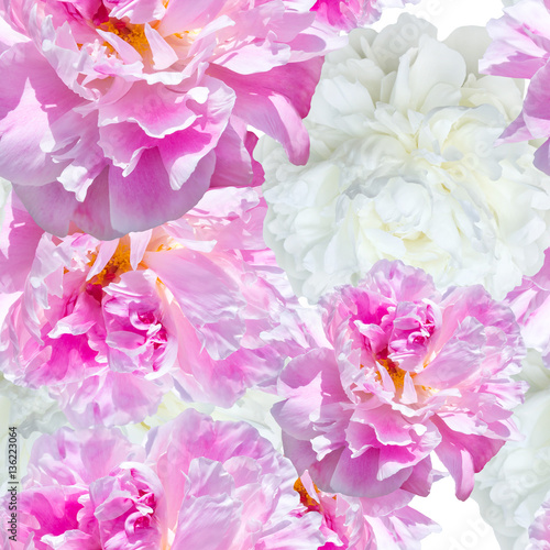 seamless pattern pale pink and white peonies