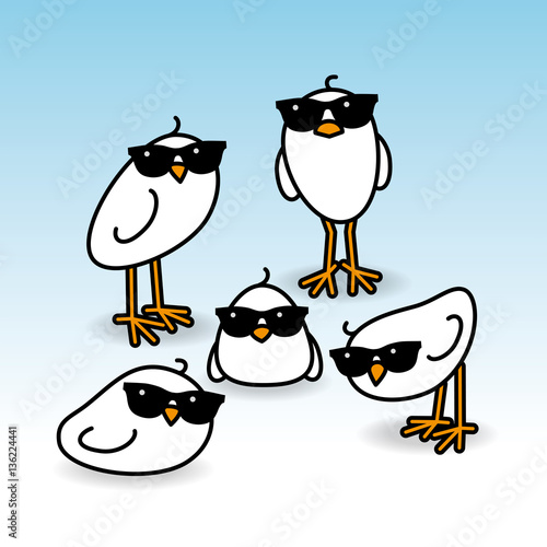Five Staring White Chicks Wearing Sunglasses