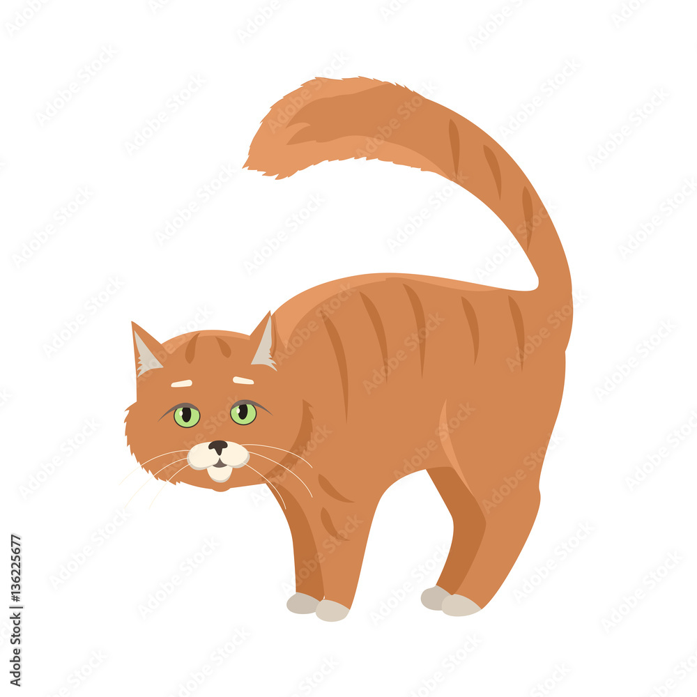 Red Cat Vector Flat Design Illustration Red Cat Vector Flat Design Illustration