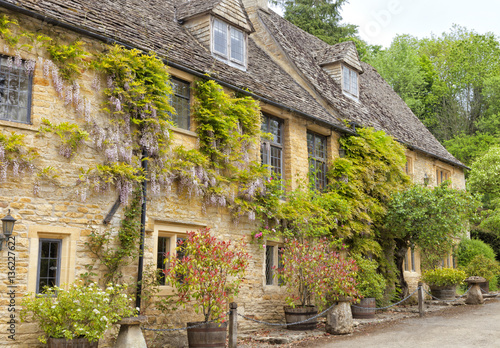 Charming Cotswolds golden cottages with climbing purple wisteria, plants in the barrels, ornamental stone mushrooms