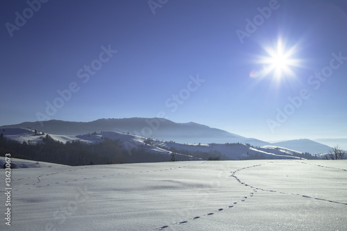 Mount Forest Beautiful winter panorama. Carpathian mountains