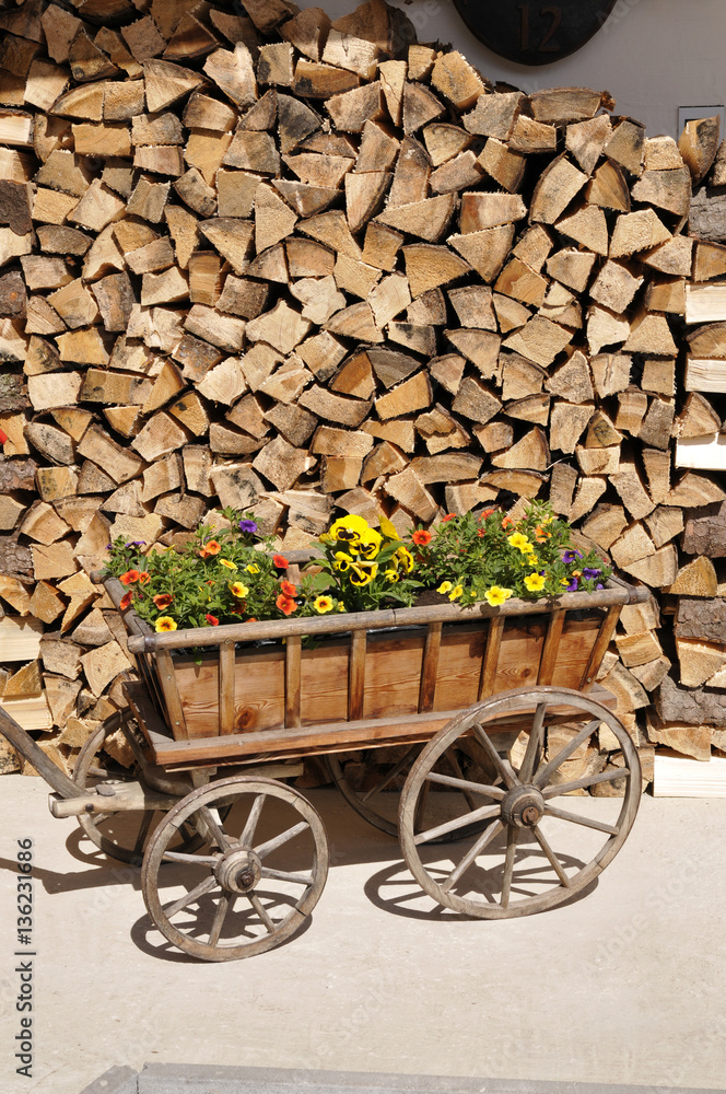 mit Blumen bepflanzter Leiterwagen steht vor einem Brennholzstapel