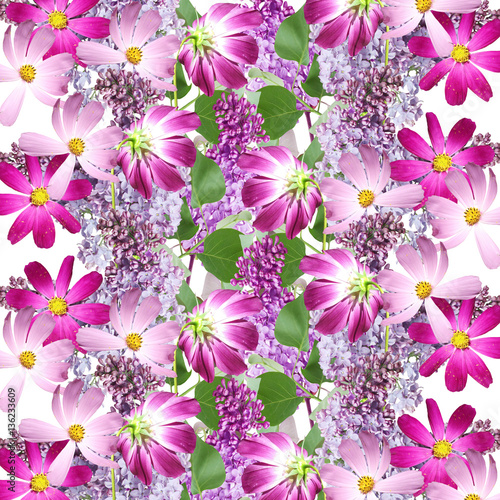 Beautiful floral background with lilac and cosmo © Ann-Mary