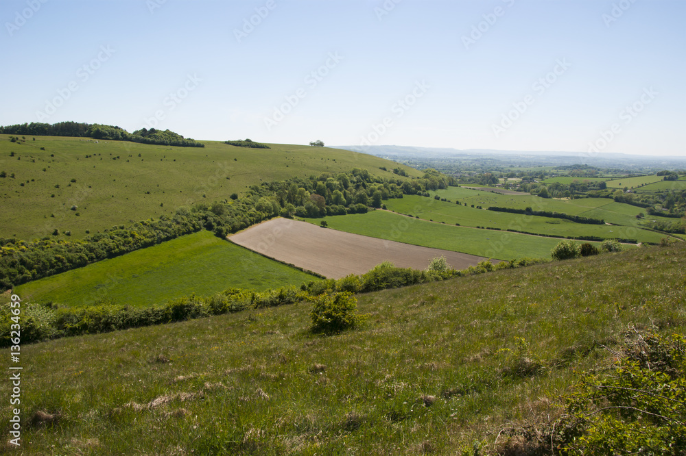 Chalk downland landscape in Dorset Chalk downland landscape in Dorset