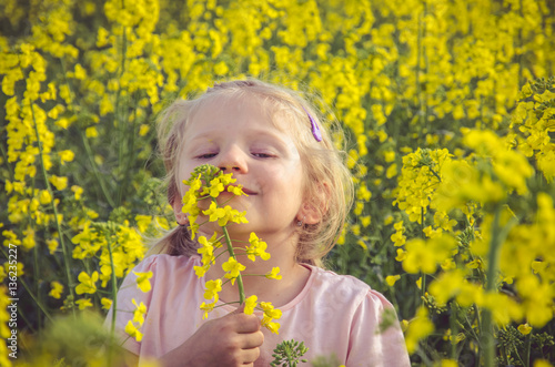smelling yellow rapeseed field