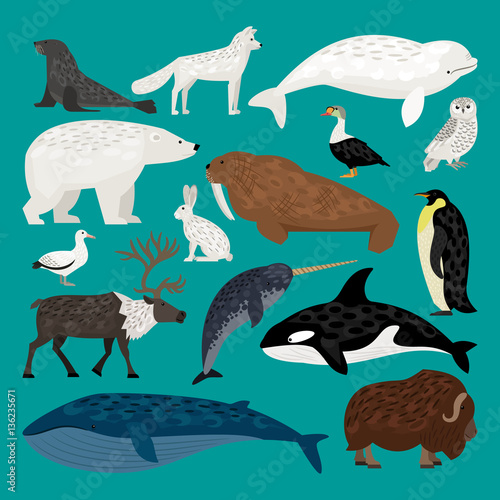 Set of Arctic animals waterfowl, birds and living on the ground