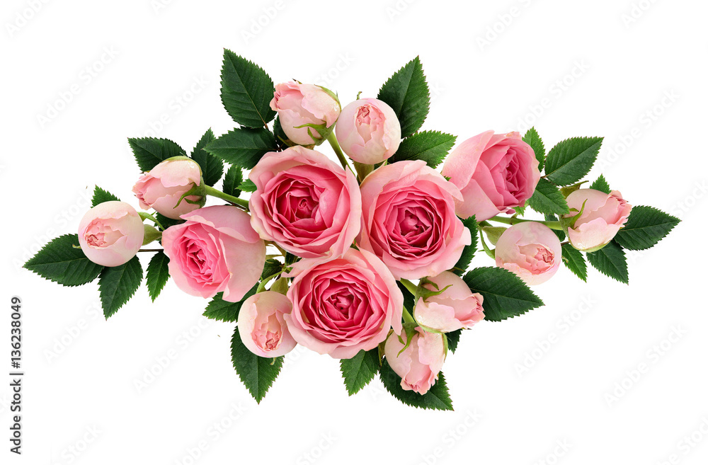 Pink rose flowers and buds arangement