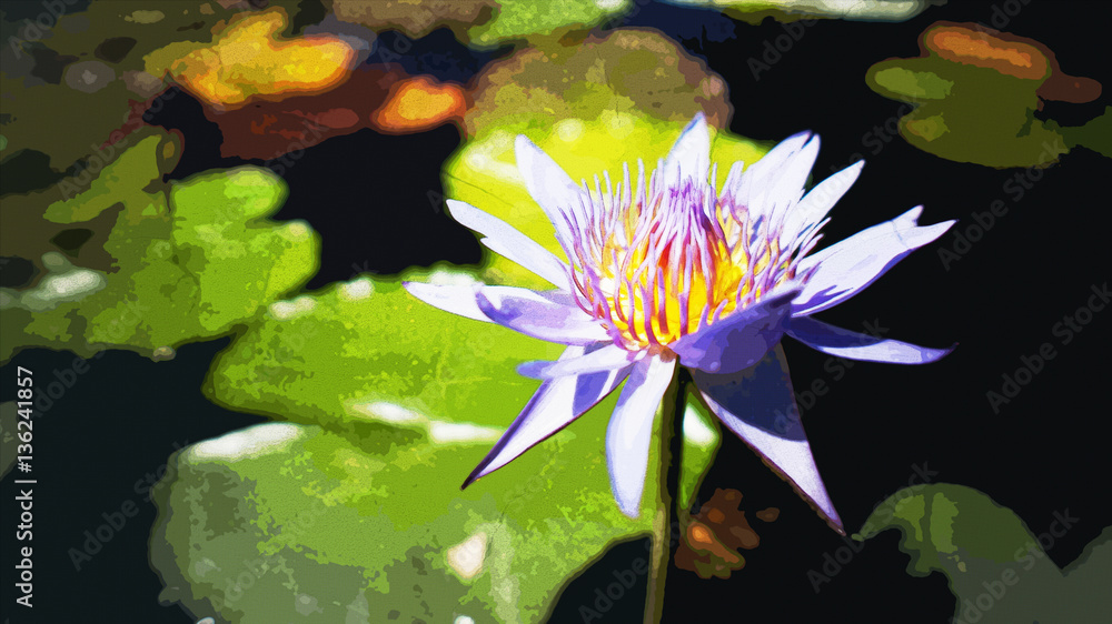 portrait of purple waterlily or lotus flower blooming at sunset moment,selective focus,abstract texture,vintage textured photo. filtered image to comic halftone portrait of purple waterlily or lotus flower blooming at sunset moment,selective focus,abstract texture,vintage textured photo. filtered image to comic halftone