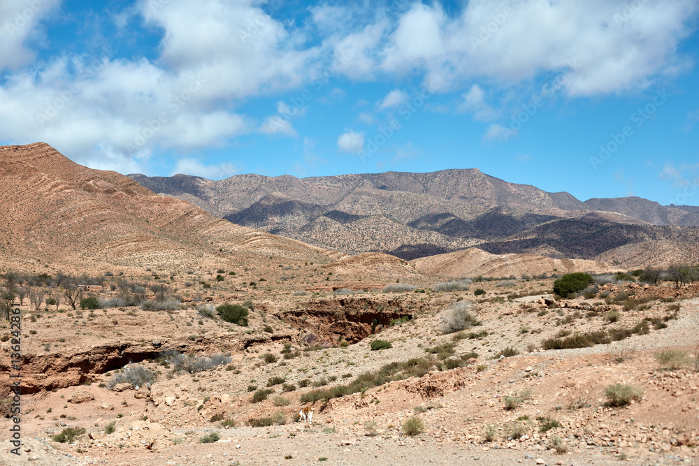 Desert landscape, Atlas Mountains, Morocco Desert landscape, Atlas Mountains, Morocco