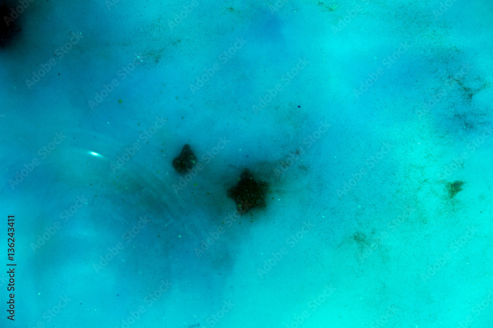 abstract background of ink dissolving in wate