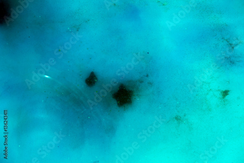 Obraz na płótnie abstract background of ink dissolving in wate w salonie