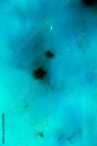 abstract background of  ink dissolving in wate