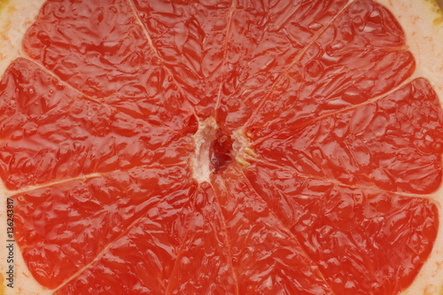 Grapefruit macro