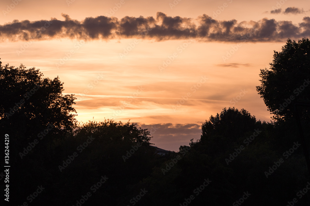 Silhouette von Bäumen vor rotem Himmel Silhouette von Bäumen vor rotem Himmel