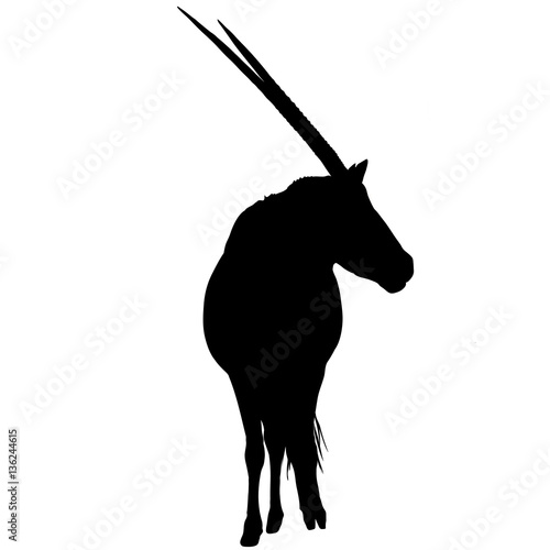 Photography Orxy seen from front, looking to side - Silhouette - Vector Illustration