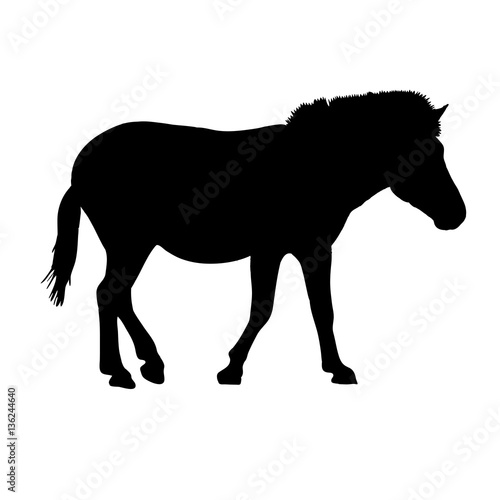 Wild Garub Desert Horse - Silhouette - Vector