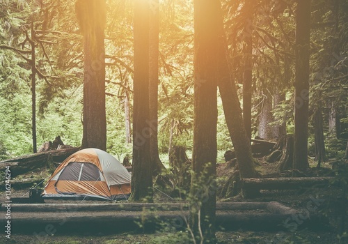 Tent Camping in the Forest
