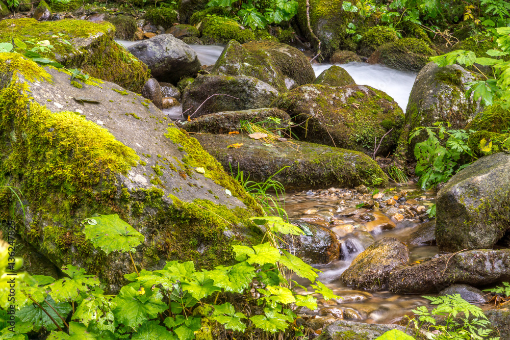 Ein Wildbach fließt durch die felsige Landschaft Ein Wildbach fließt durch die felsige Landschaft