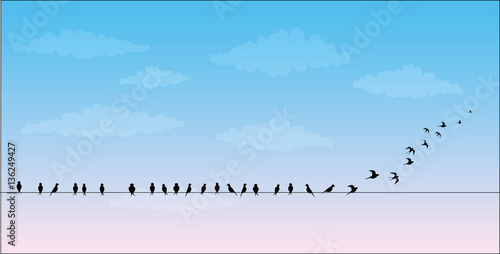 silhouettes of the birds sitting on a wire against the sky are flies, vector image