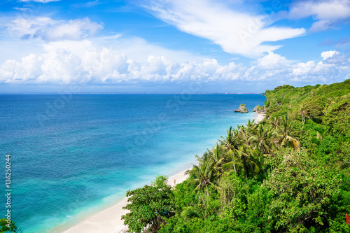 Tropical beach and ocean in Bali. Blue sky, blue water. Tropical jungle © artifirsov