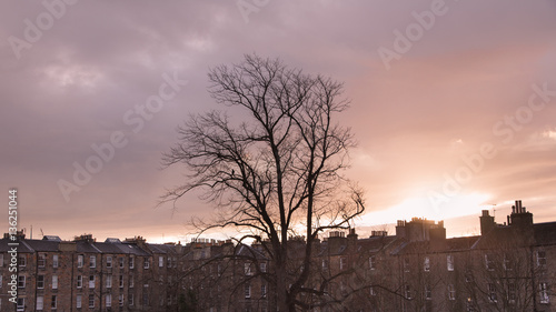 Naturaleza contra ciudad