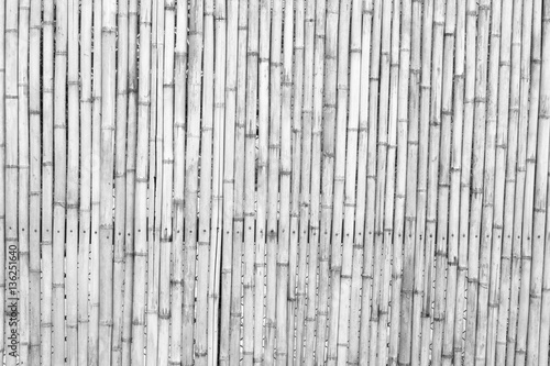 bamboo wall on white