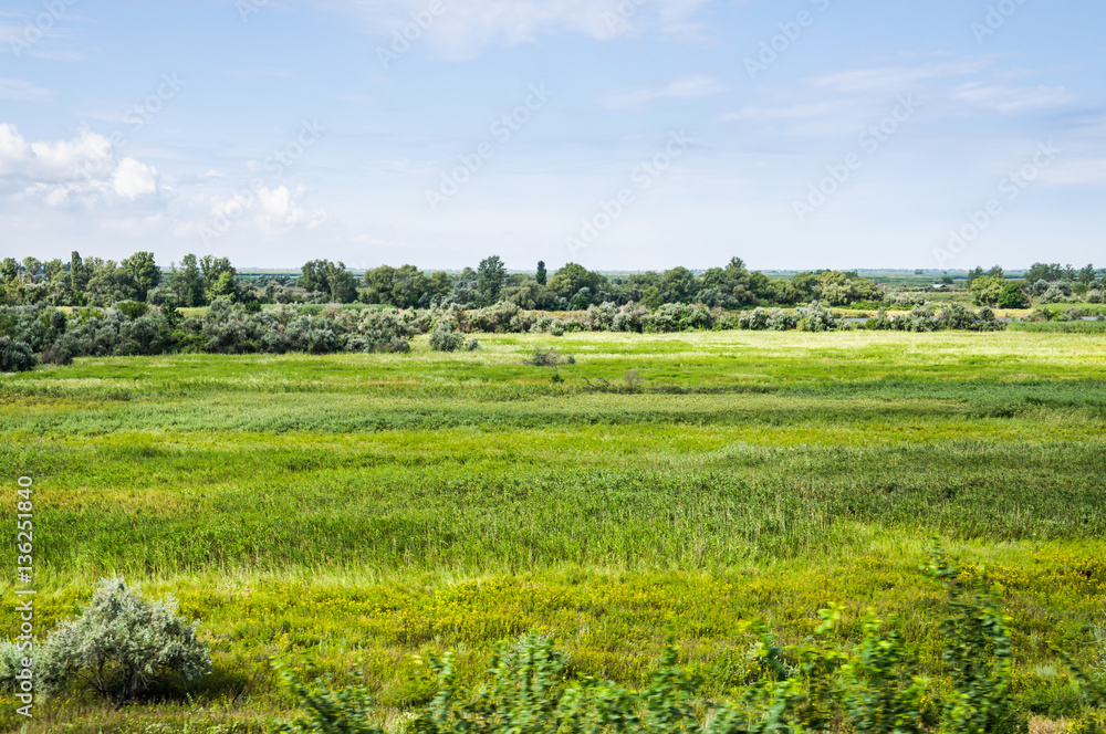 The nature of the banks of the Dead Donets river in Don river delta in the vicinity of Rostov-on-don. Summer steppe landscape. The view from the train window