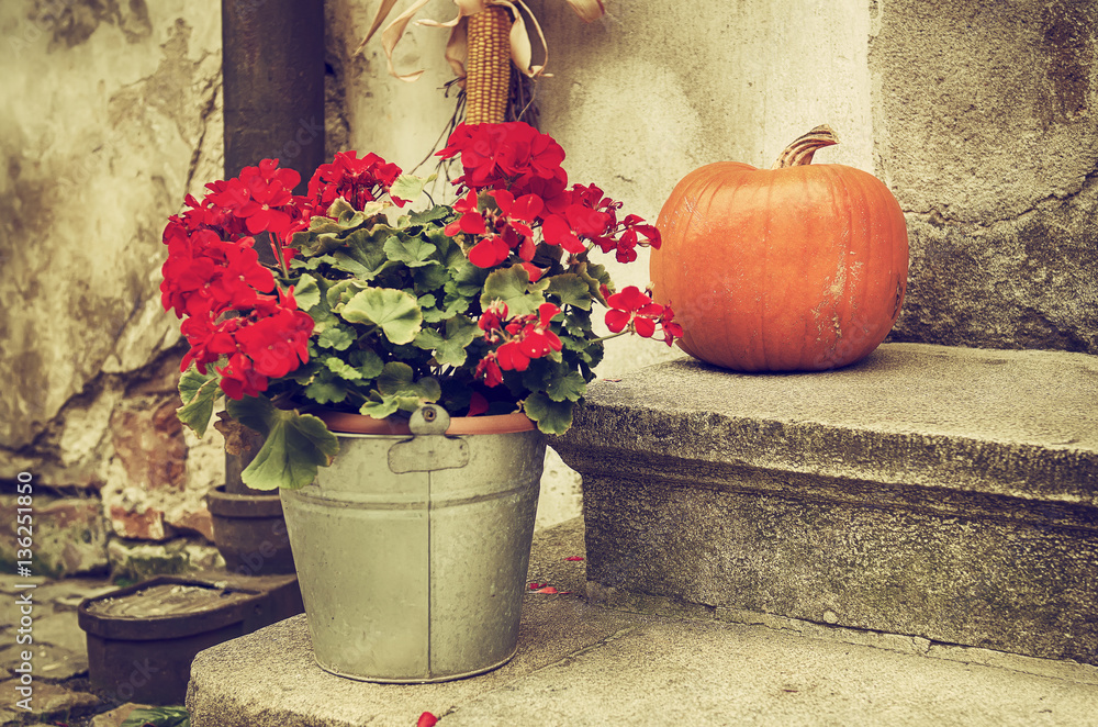 Halloween autumn holiday decoration at the stone stairs. Orange pumpkin against grunge wall and bucket with red flowers, seasonal background