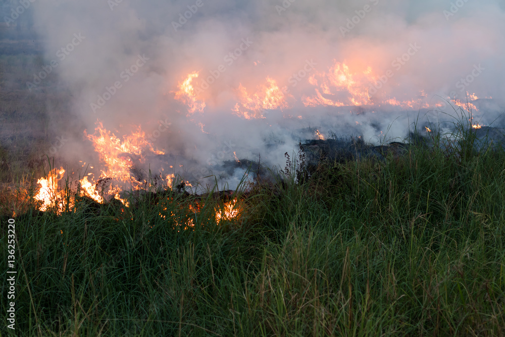 Flames burned grass.