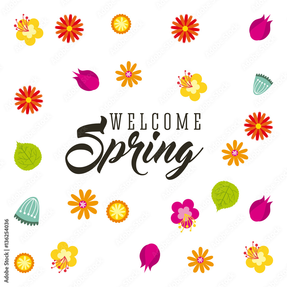 beautiful flowers and leaves over white background. spring season concept. colorful design. vector illustration beautiful flowers and leaves over white background. spring season concept. colorful design. vector illustration