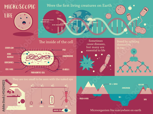 Microorganism life