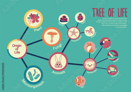 Tree of life
