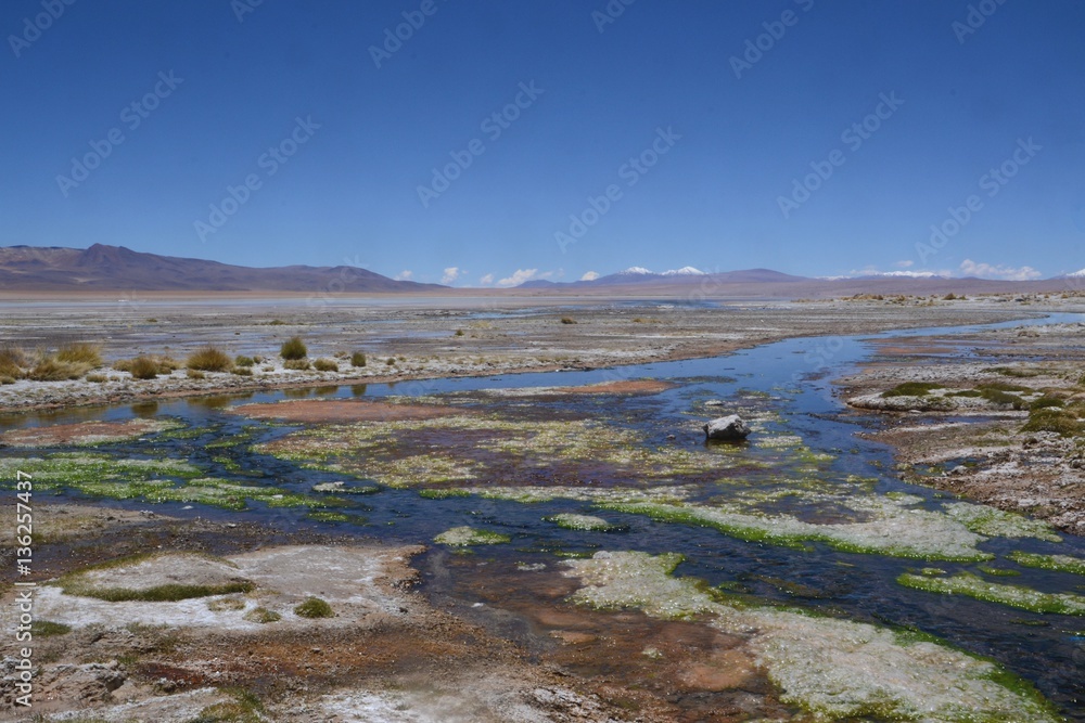 Bright colors surround a small stream flowing out into the a lake in the Altiplano region of Bolivia. 