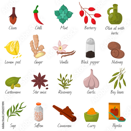 Spices, condiments and seasoning food herbs decorative elements vector.