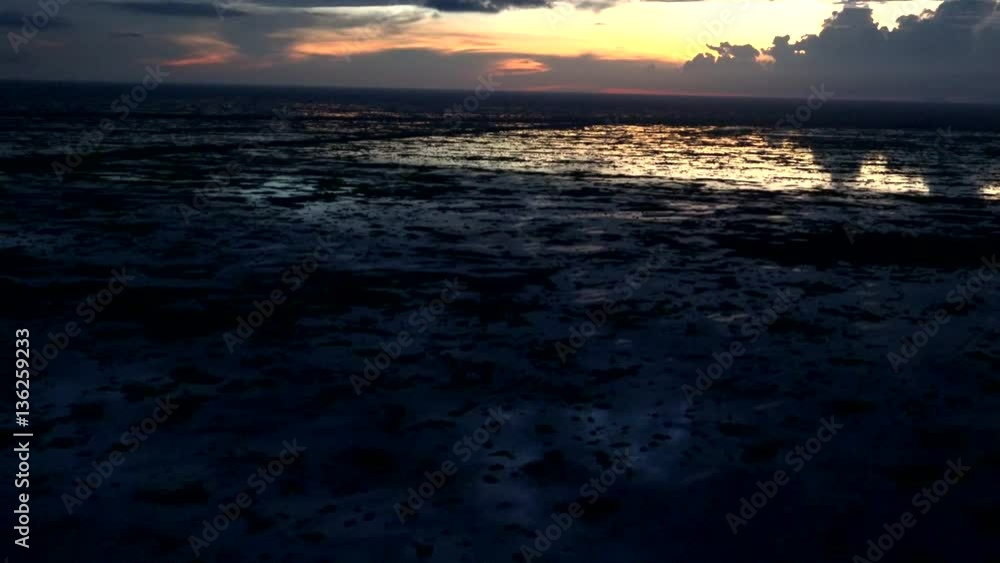 Fort Lauderdale Night Everglades Aerial Fort Lauderdale Night Everglades Aerial