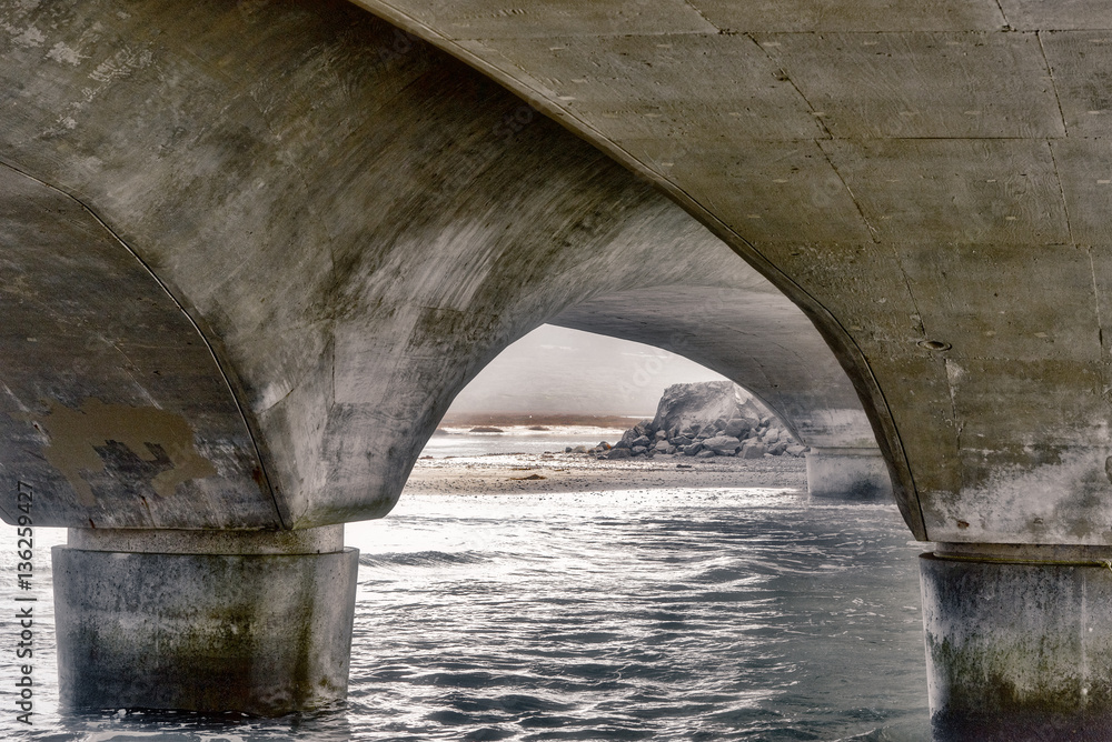 The view under the bridge at the Torrey Pines Nature Preserve.