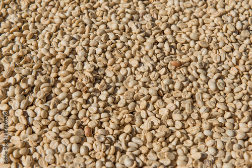 Dried coffee bean background.