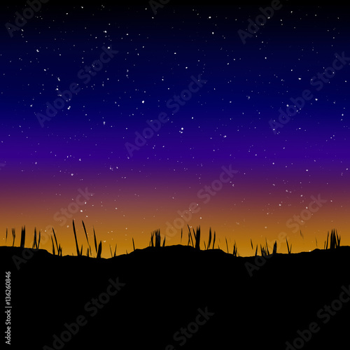 Grassy silhouette and night starry sky
