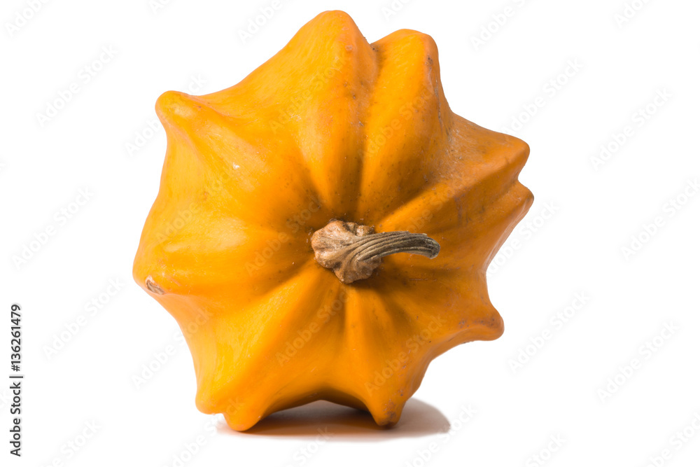 Fototapeta premium Fancy pumpkin on a white background 