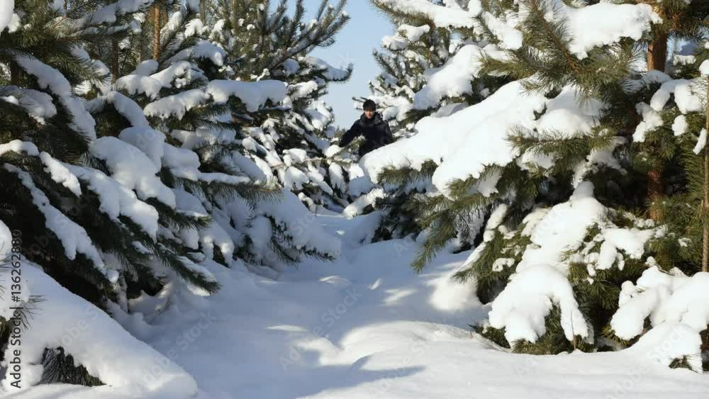 A man walks through deep snow in the winter forest, sunny weather A man walks through deep snow in the winter forest, sunny weather