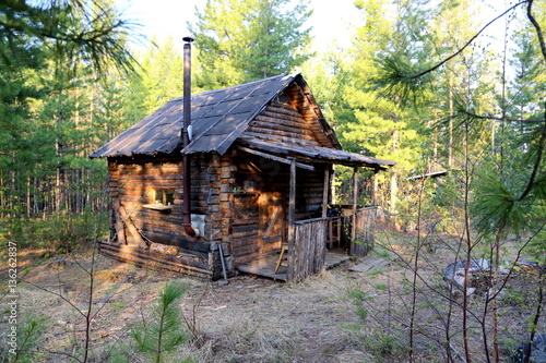 Forest shelter (cabin) for hunters in the Siberian taiga. House for temporary accommodation and rest in the deep thicket of pine trees, which is used by hunters, mushroom pickers and tourists in the a