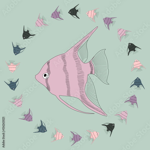 Vector  aquarium fish angelfish