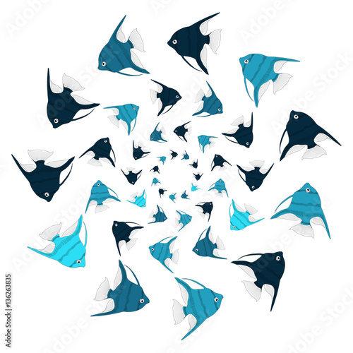 Vector  aquarium fish angelfish