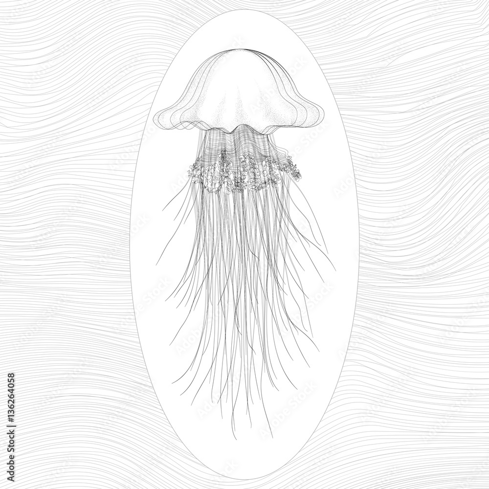 Naklejka premium Vector oceanic jellyfish
