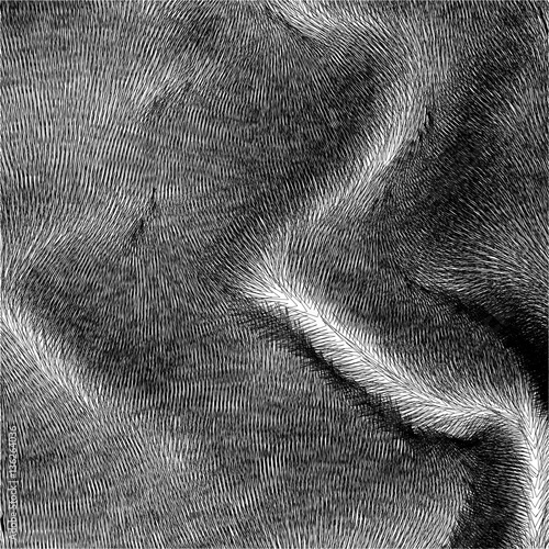 Wavy vector fur with folds