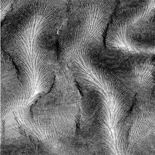 Wavy vector fur with folds