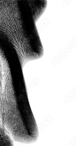 Wavy vector fur with folds
