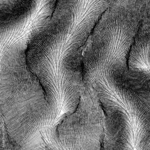 Wavy vector fur with folds