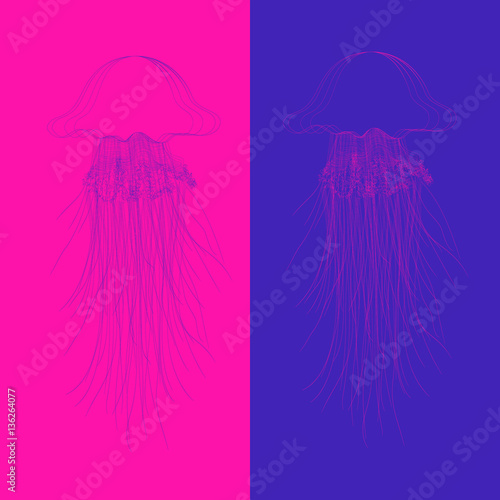 Vector  oceanic jellyfish